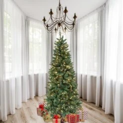 7 Ft. Pre-Lit Douglas Fir Christmas Tree With 300 Individual Lights And Stand -Northlight Shop astella pre lit christmas trees ct200 44 1000