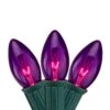 Northlight 12 In. Set Of 25 Transparent Purple C9 Christmas Lights Spacing - Green Wire