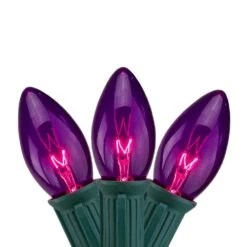 Northlight 12 In. Set Of 25 Transparent Purple C9 Christmas Lights Spacing - Green Wire