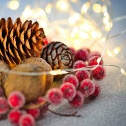 Northlight 100-Light LED Warm White Micro Fairy Lights With 16.25 Ft. Copper Wire -Northlight Shop northlight christmas novelty lights 32737527 31 1000