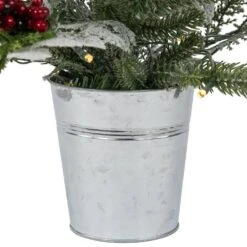 Northlight Pre-Lit LED Frosted Mixed Pine With Cardinals Potted Artificial Christmas Tree-2 Ft. -Warm White Lights -Northlight Shop northlight pre lit christmas trees 35680509 76 1000