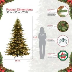 7.5 Ft. Prelit Princess Spruce Artificial Christmas Tree With 700 UL-Listed Clear Lights 9 7.5 Ft. Prelit Princess Spruce Artificial Christmas Tree With 700 UL-Listed Clear Lights -Northlight Shop puleo international pre lit christmas trees ps 75c7 44 1000